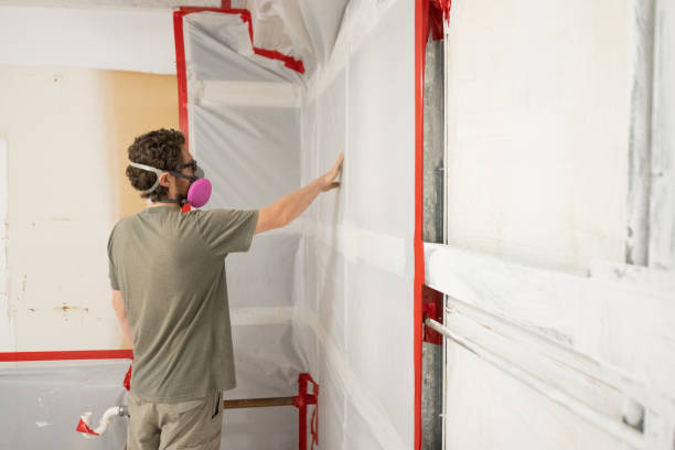 Best Emergency Mold Remediation  in Meridian, CO