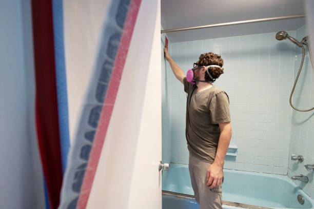 Best Biohazard Mold Removal  in Meridian, CO