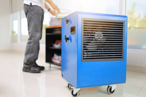 Best Mold Documentation for Insurance Claims  in Meridian, CO