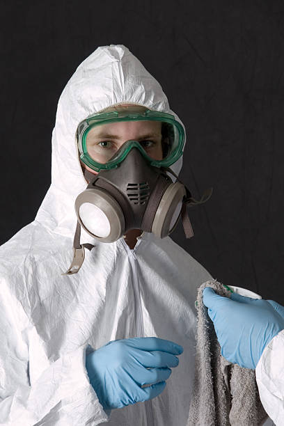 Best Mold Removal for HVAC Installations  in Meridian, CO